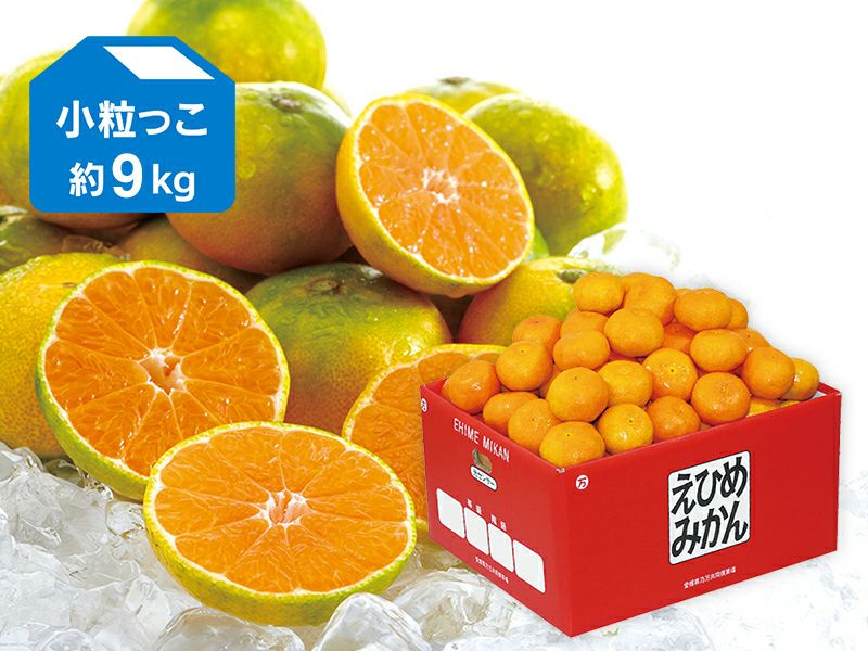 早期ご予約割引受付中】極早生みかん約9kg-小粒っ子 | のま果樹園