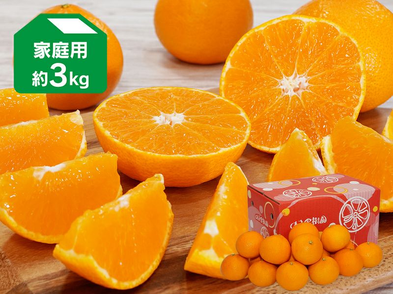 000000002286-03.jpg?size=l&w=