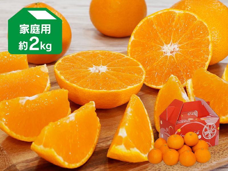 愛媛果試第48号 | のま果樹園