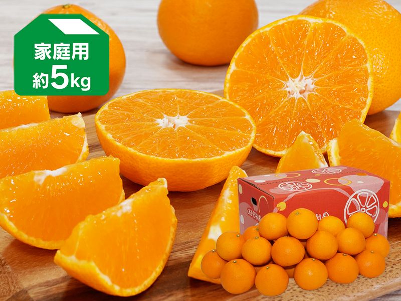 愛媛果試第48号 約5kg | のま果樹園