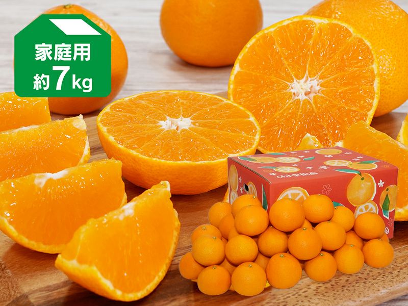 愛媛果試第48号 約7kg | のま果樹園