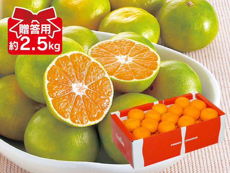 極早生みかん約2.5kg-贈答用 | のま果樹園