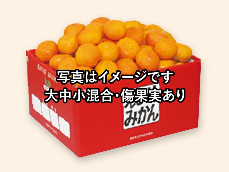 ワケあり極早生みかん約6kg | のま果樹園