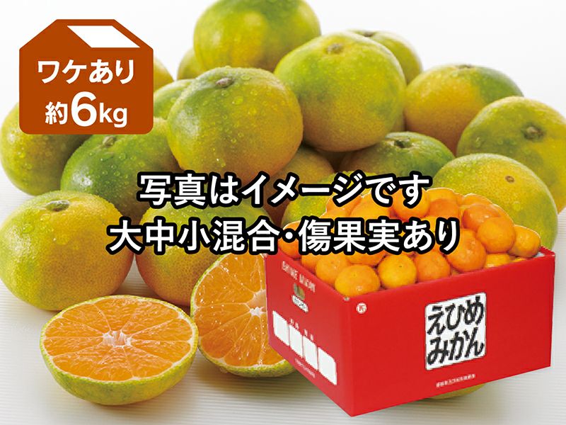 ワケあり極早生みかん約6kg | のま果樹園