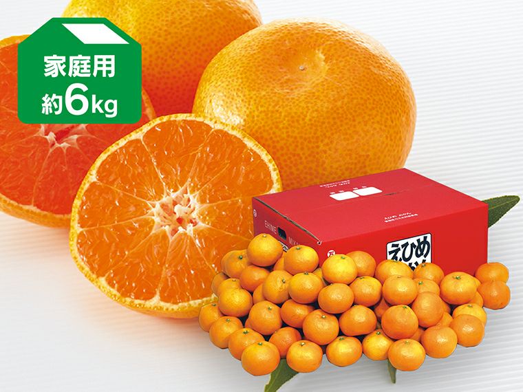 愛媛みかん6kg-家庭用 | のま果樹園