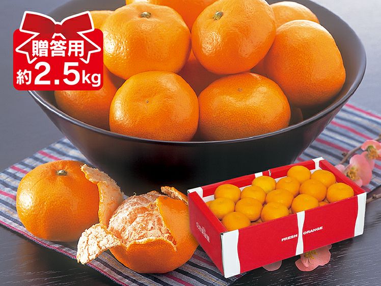 愛媛みかん2.5kg-贈答用 | のま果樹園