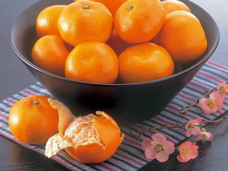 愛媛みかん4kg-贈答用 | のま果樹園