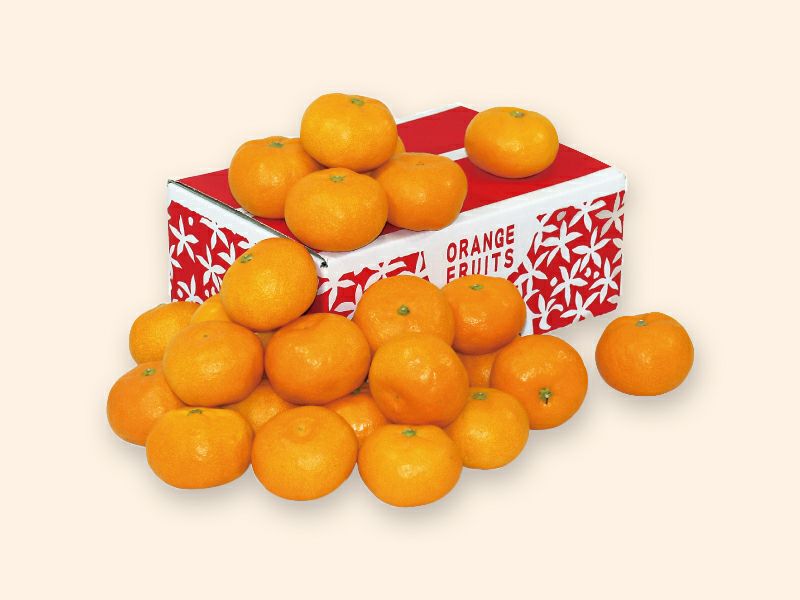 愛媛みかん2kg-小粒っ子 | のま果樹園