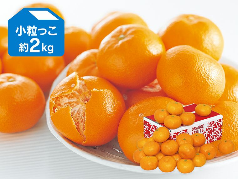 愛媛みかん2kg-小粒っ子 | のま果樹園