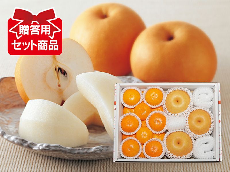 極早生みかん｜贈答用｜みかんのことなら「のま果樹園」