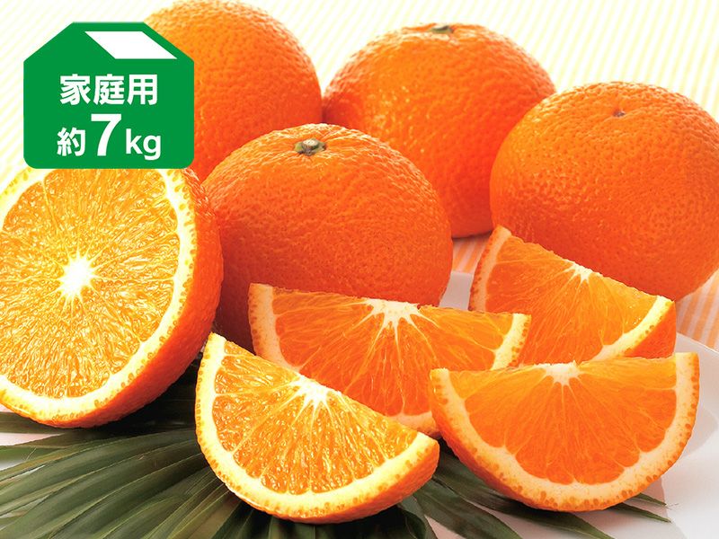 スイートスプリング約9kg | のま果樹園