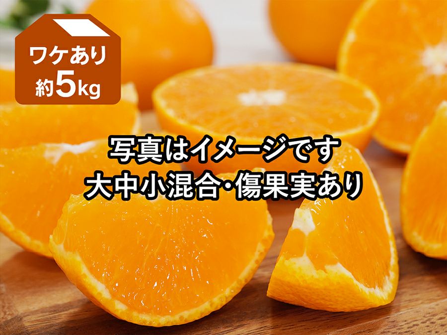 愛媛果試第48号（訳あり） | のま果樹園
