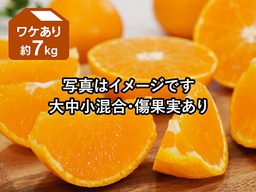 愛媛果試第48号（訳あり） | のま果樹園