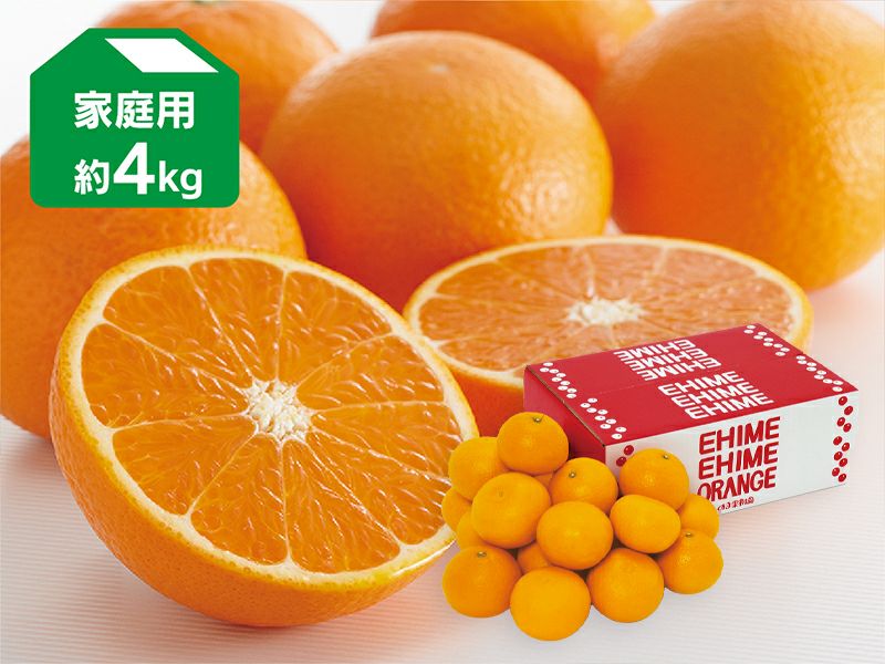 露地せとか約5kg-家庭用 | のま果樹園