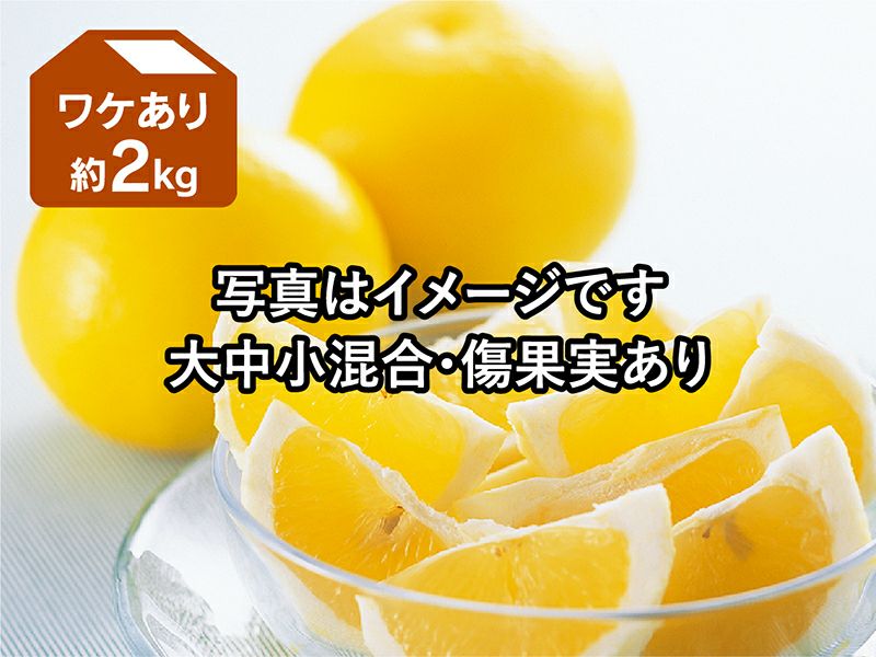 ワケありニューサマーオレンジ約2kg | のま果樹園