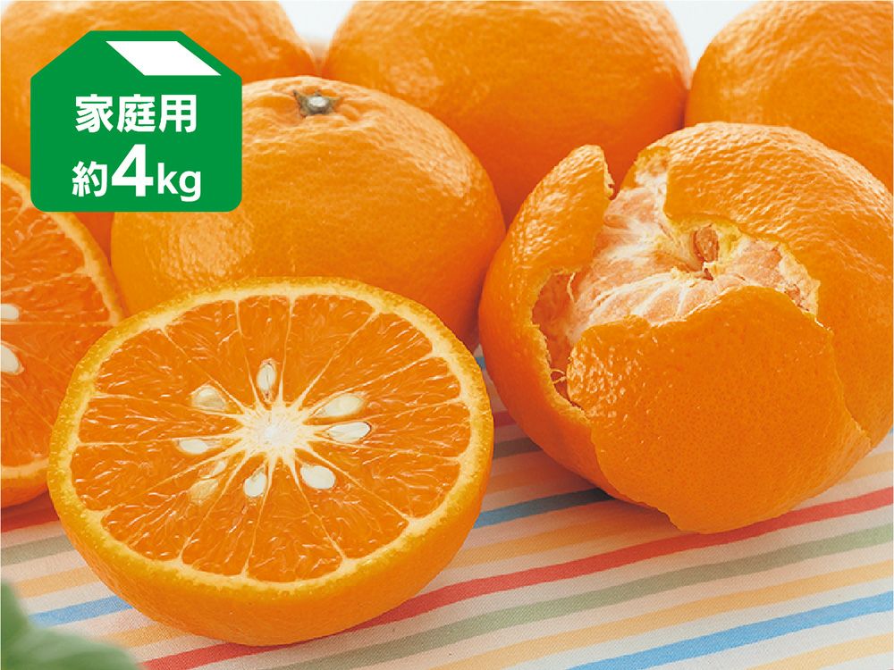 家庭用 | のま果樹園