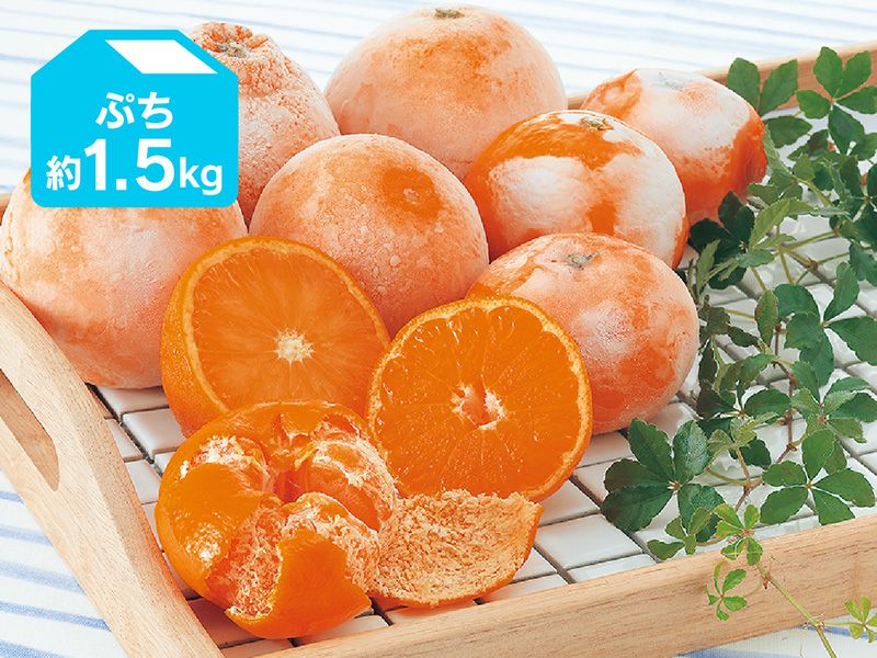 000000002468-03.jpg?size=m&w=