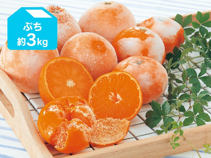 いろいろ8種16個入セット（各2個ずつ）【冷凍みかん】 | のま果樹園