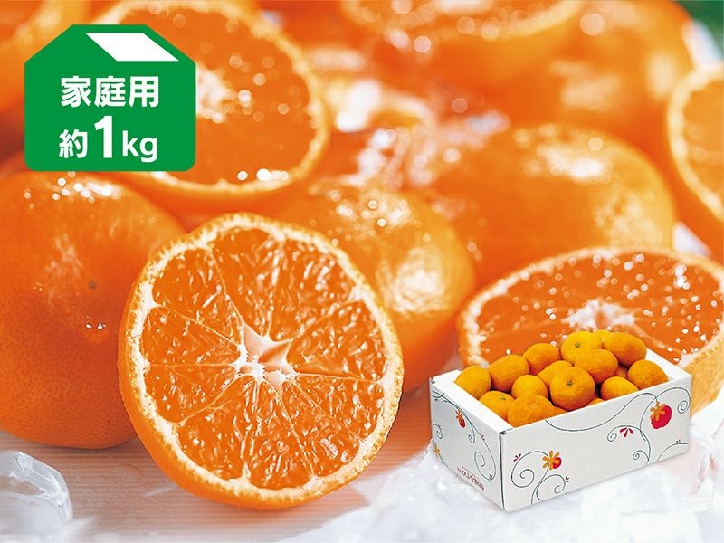 ベルガモット | のま果樹園