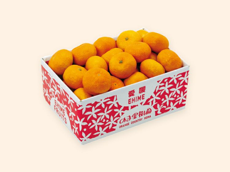ハウスみかん1.8kg-家庭用 | のま果樹園