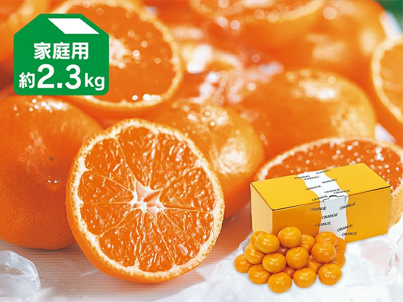 みかん０５０２ 特選秀品カネタケハウスみかん約2.5kg【送料込】【数量限定】 | 白木果樹園