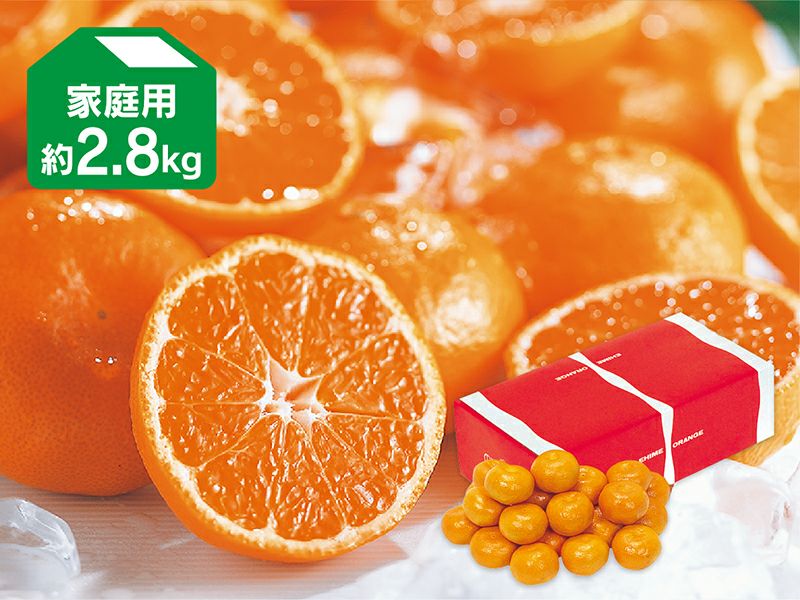 ニューサマーオレンジ約9kg-家庭用 | のま果樹園