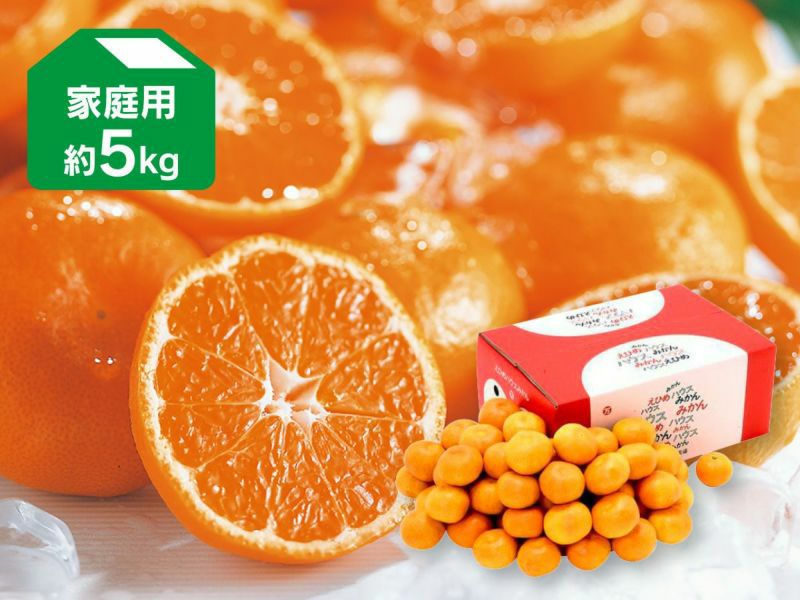疑似餌中25本大25本土佐丹吉更に大特価 母の日ギフト まだ間に合う 】チェリー食べ比べギフトBOX アメリカン