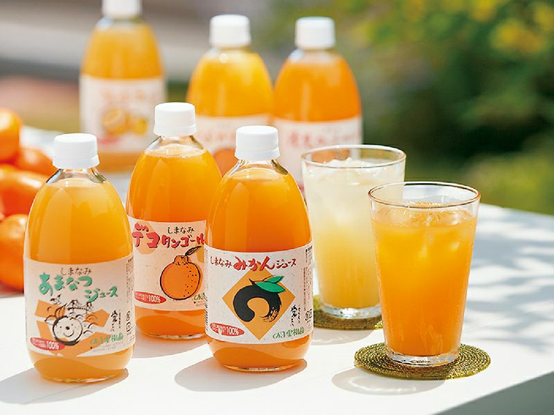 みかんジュース　4種類  12本 8種類の柑橘を搾った「8種8本ジュース詰め合わせ」 | のま果樹園