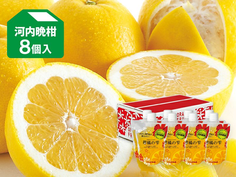 柑橘の雫・飲むゼリー 河内晩柑 8個入り | のま果樹園