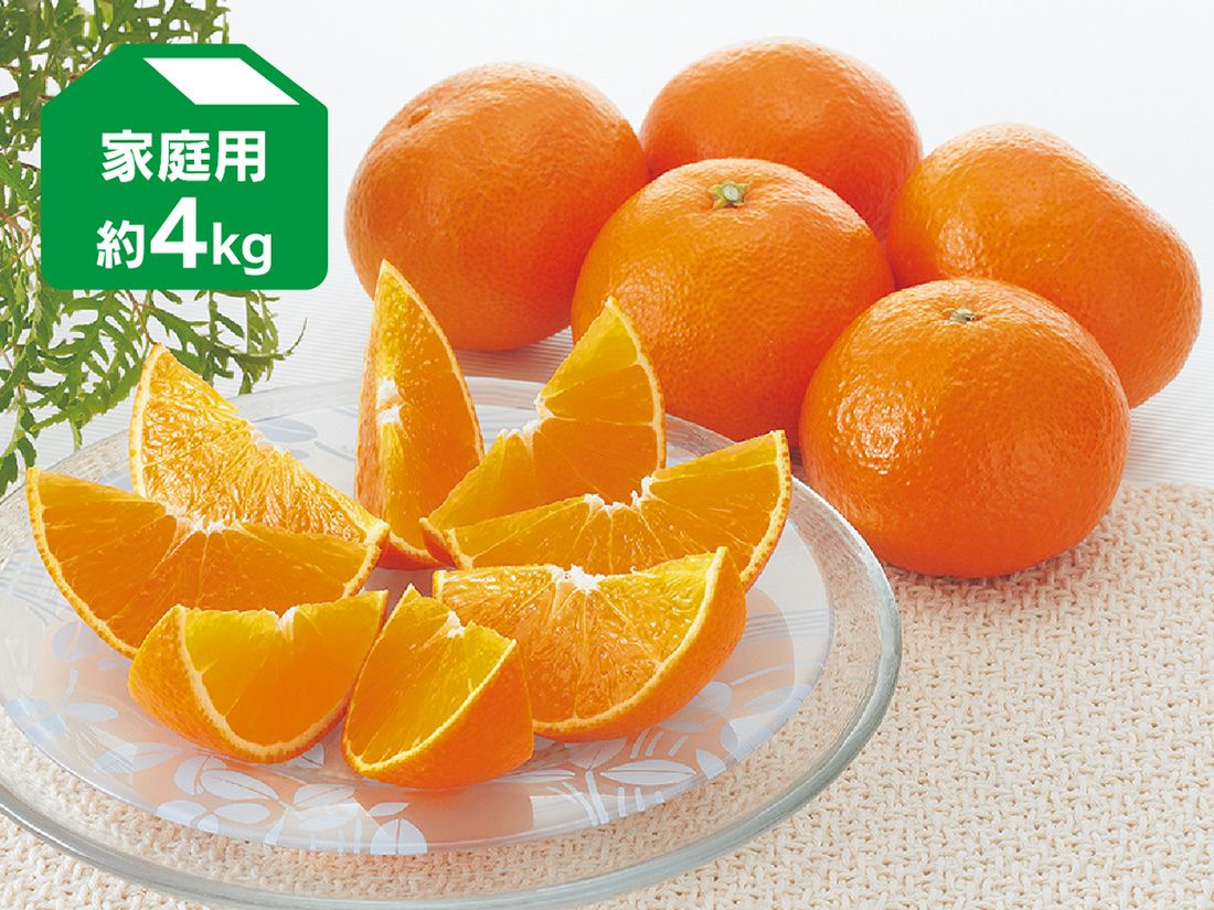 媛まどんな(愛媛果試第28号) | のま果樹園