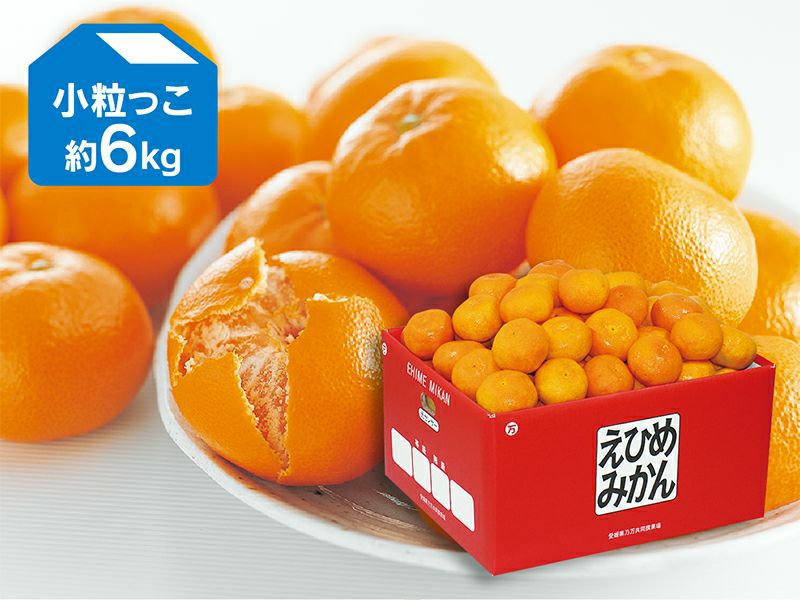 小粒っ子 | のま果樹園