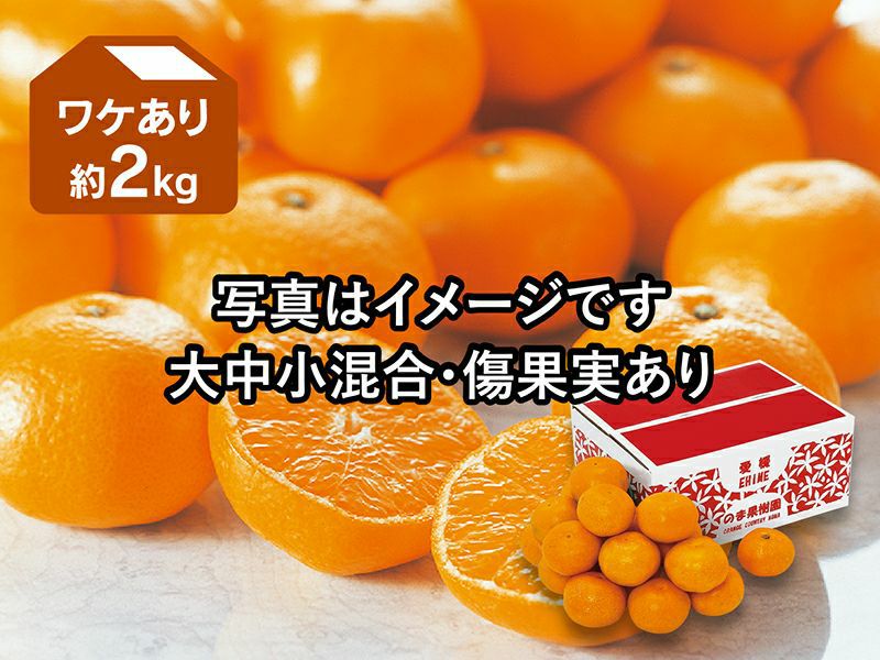 マーヤ　和田果樹園の果物　10kg 贈答用】和田果樹園のゆら早生みかん M 10㎏ | 和田果樹園