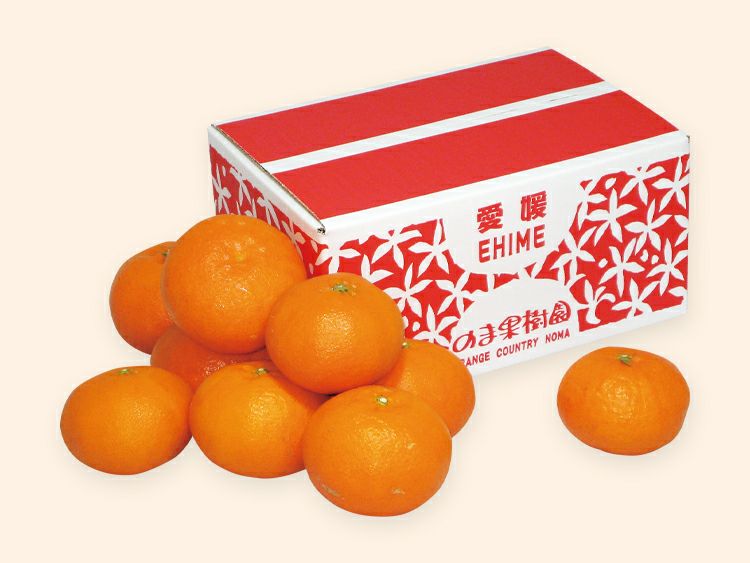 アキ　甘平8kg×２箱ぐるりん 甘平 3L:10玉(JA周桑産） 2月1日から発送予定: JA全農えひめ直販
