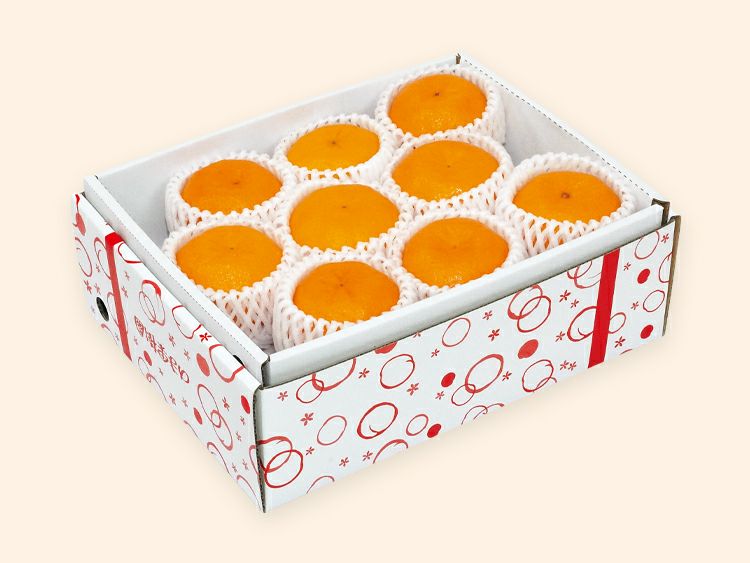 ポンカン約1.4kg-贈答用 | のま果樹園