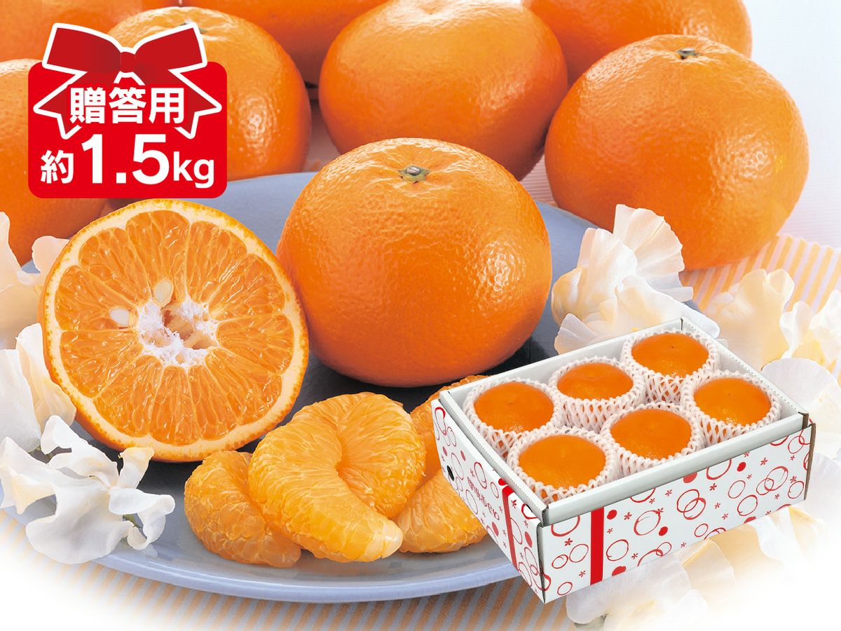 贈答用 | のま果樹園