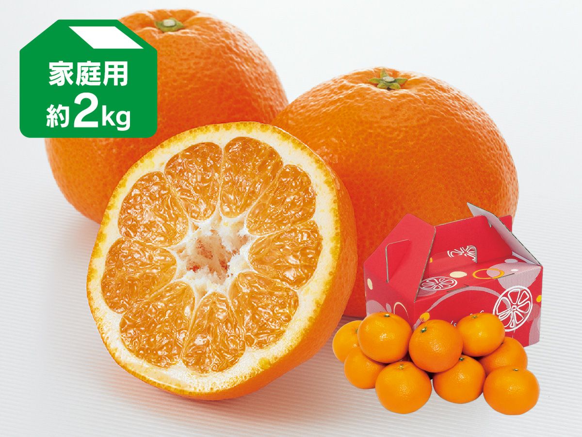 家庭用 | のま果樹園