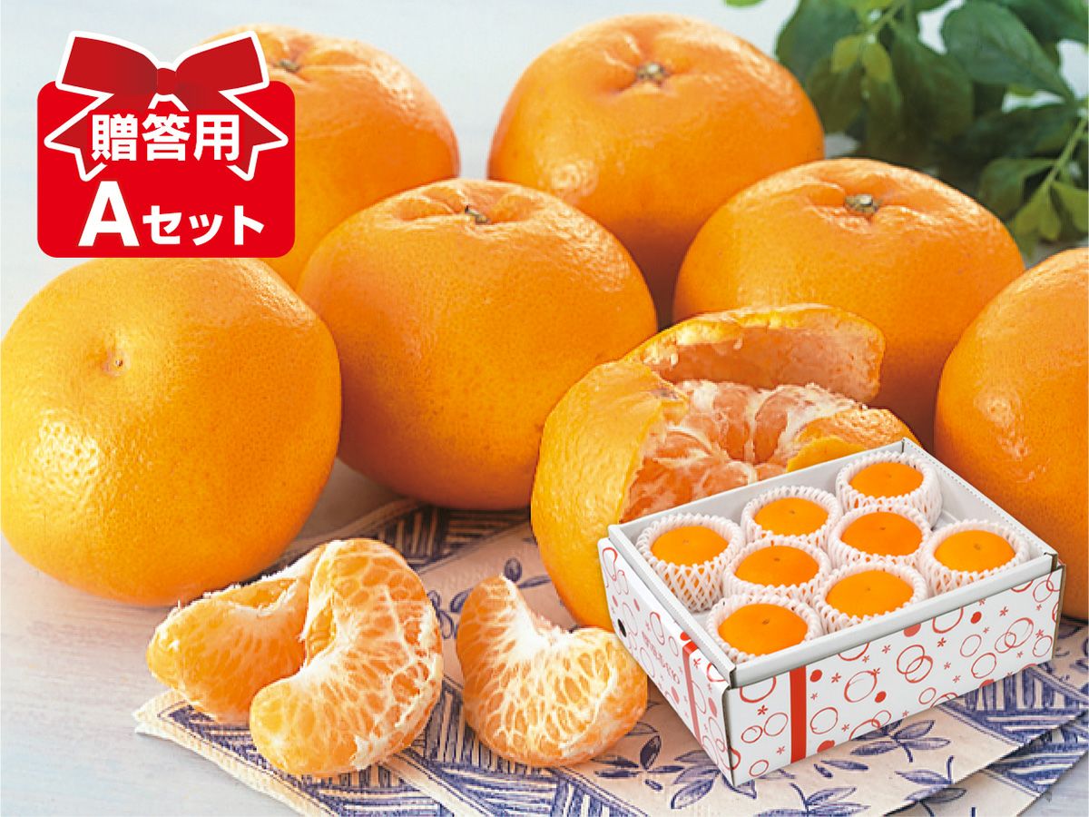 はるみ | のま果樹園