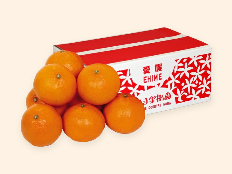 露地せとか約1.5kg-家庭用 | のま果樹園