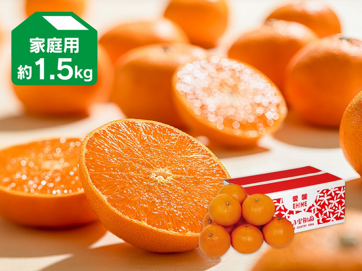 ブラッドオレンジ | のま果樹園