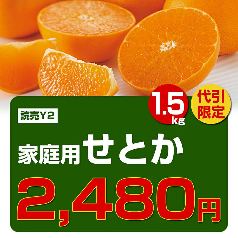 果物 yen 楽天市場】広島県産 JA三原せとだ「せとか」 3キロ 特選 Lから3Lサイズ
