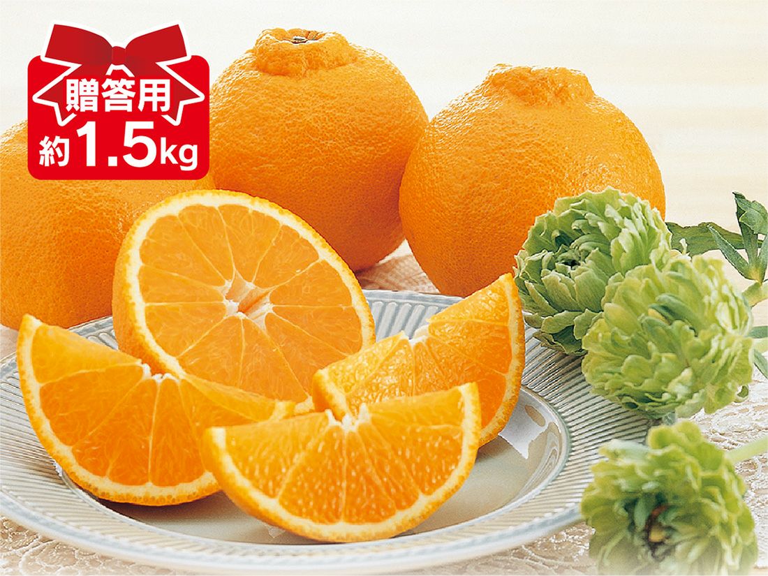 甘平約1.5kg無選別(キズ果・サイズ混合) | のま果樹園