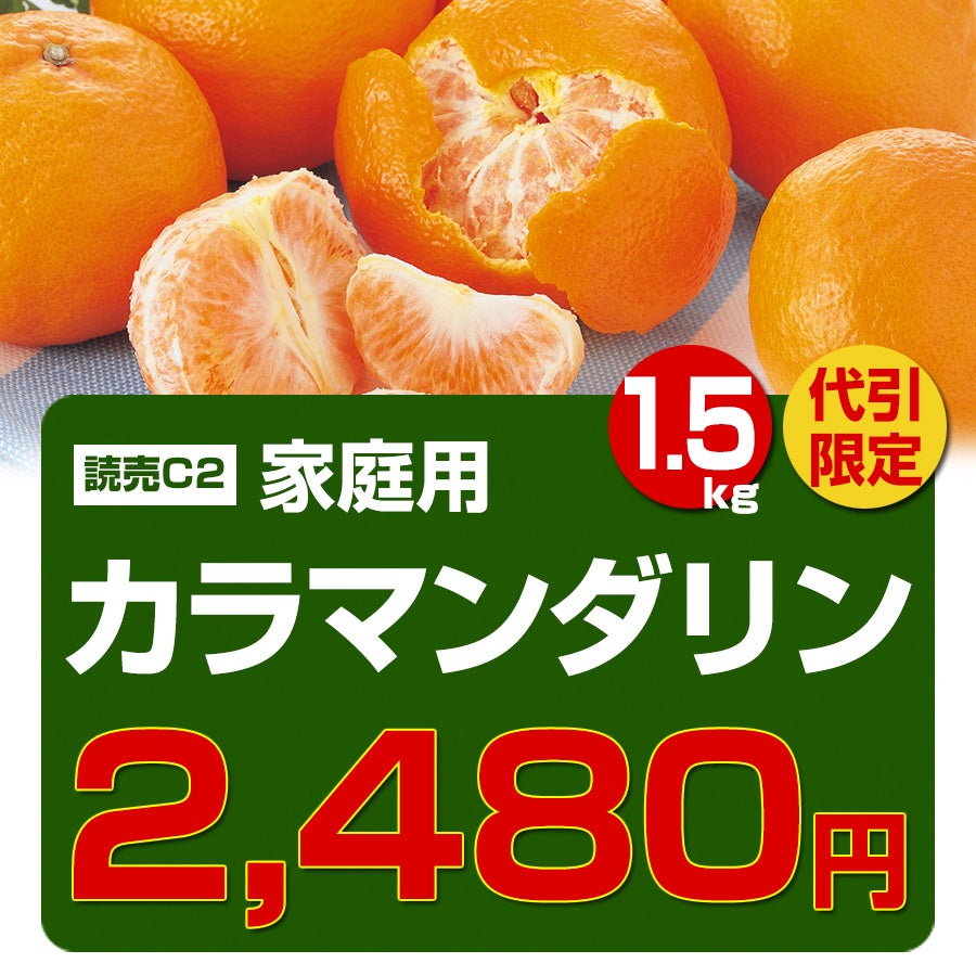 カラマンダリン　果樹 約70cm カラマンダリン約1.5kg | のま果樹園