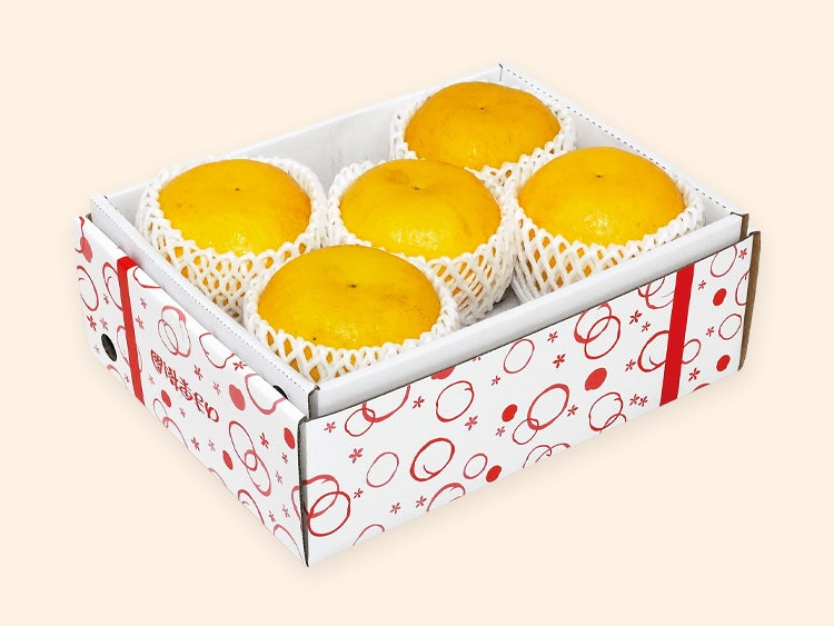 木成り河内晩柑約2kg-贈答用 | のま果樹園