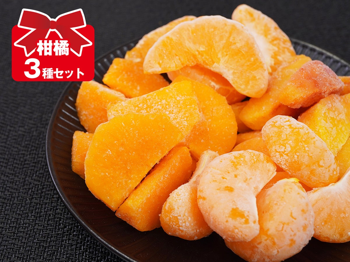 アートロックフルーツ「柑橘3種セット」100g×3個入（冷凍フルーツ