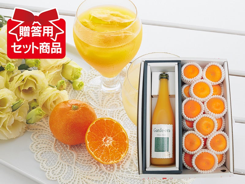 愛媛産「ワケありブラッドオレンジ」約2kg | のま果樹園