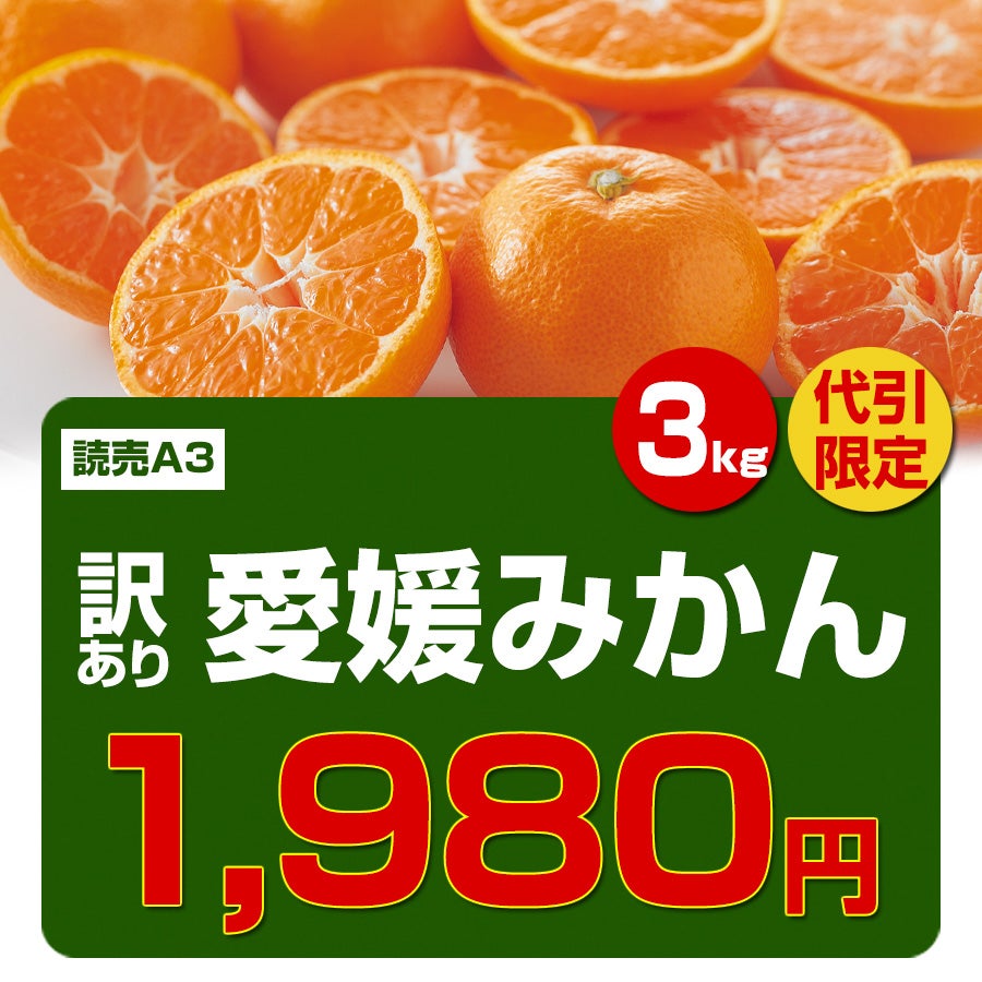 ワケあり愛媛みかん約3kg | のま果樹園